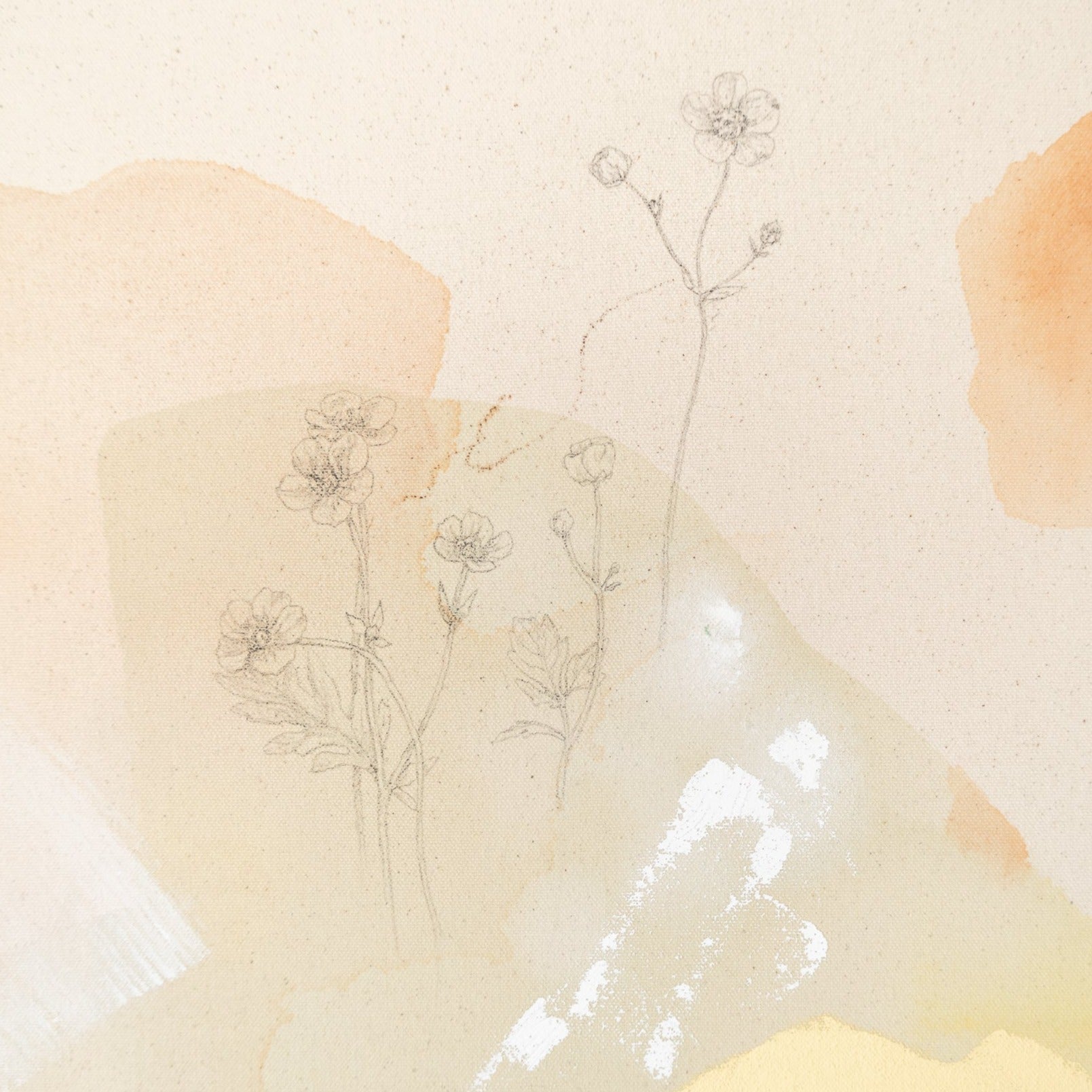 Summer Light