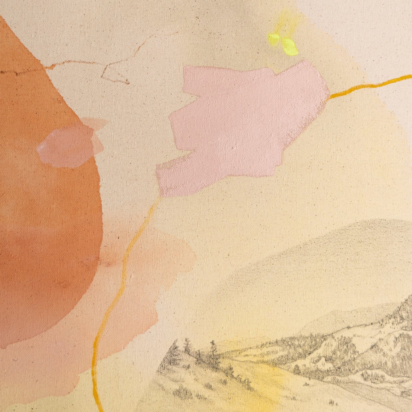 Through Wide Golden Pastures