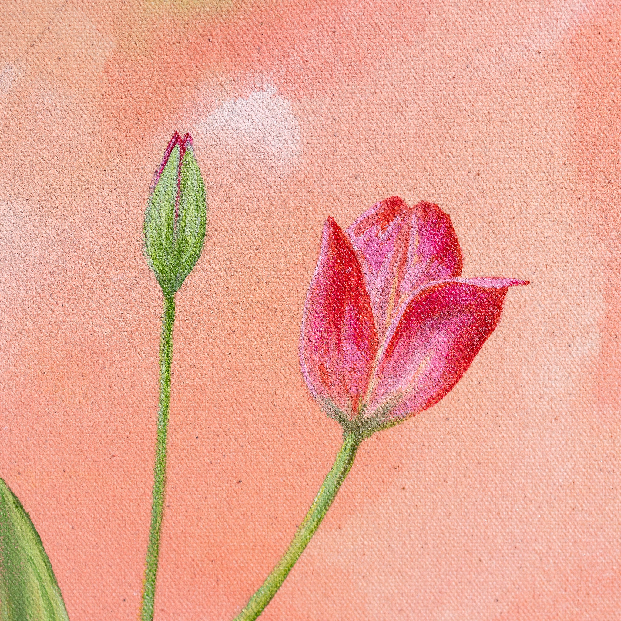 Everblooming