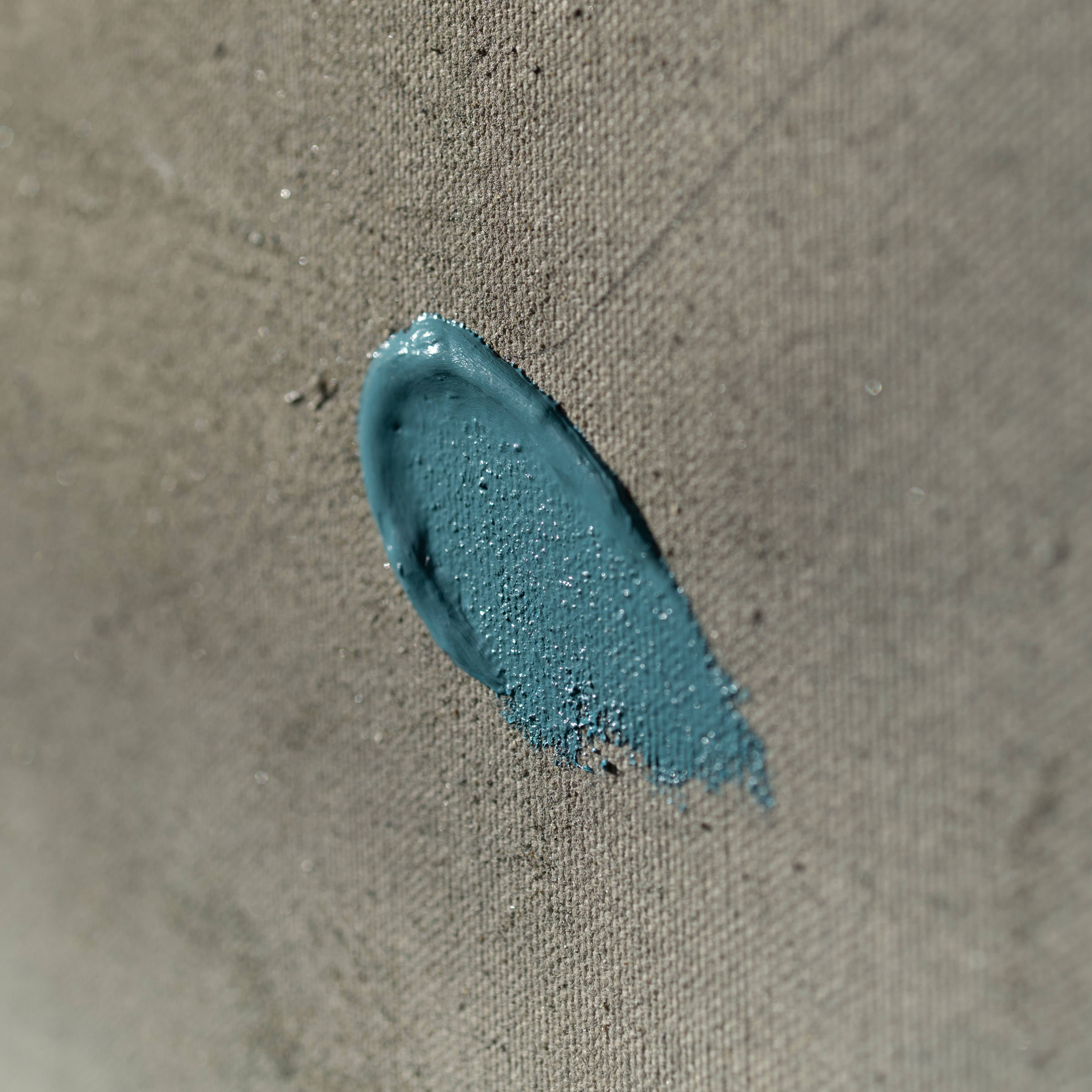 Catch the Wind